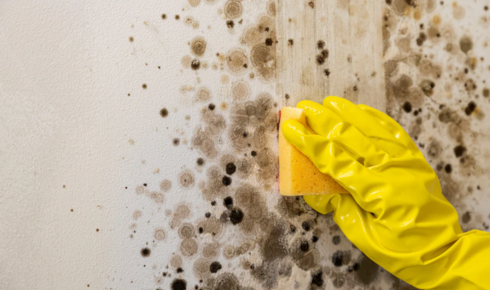 The Air Inside Your Home Deserves More Credit